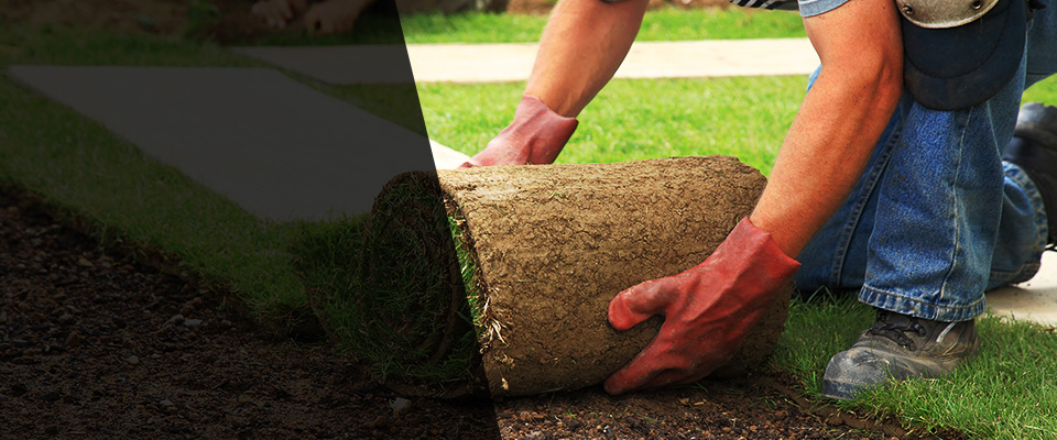 West End Landscapers
